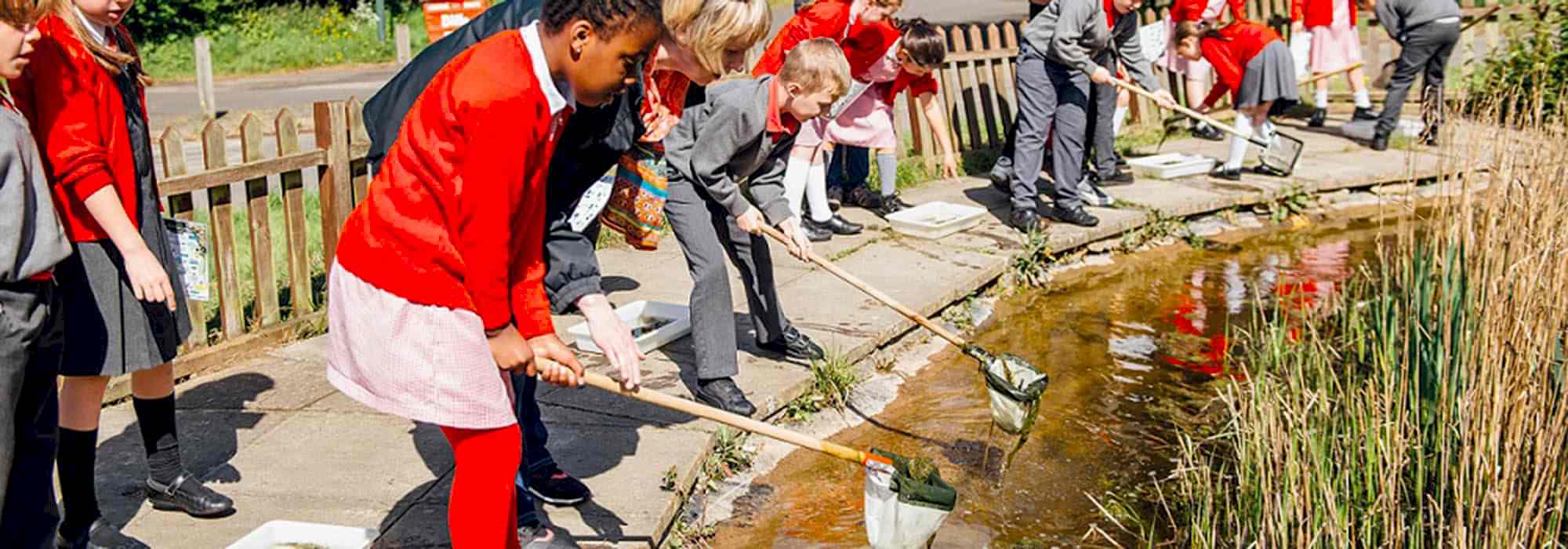children In school uniform pond dipping