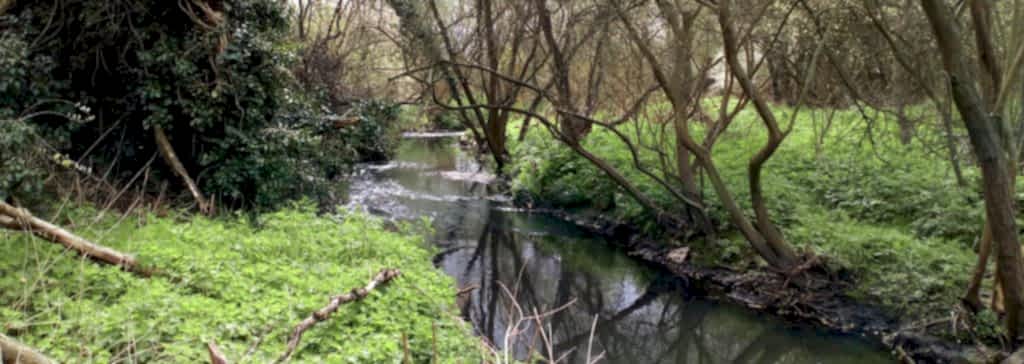 River restoration: Land of the Fanns – PROJECT COMPLETED