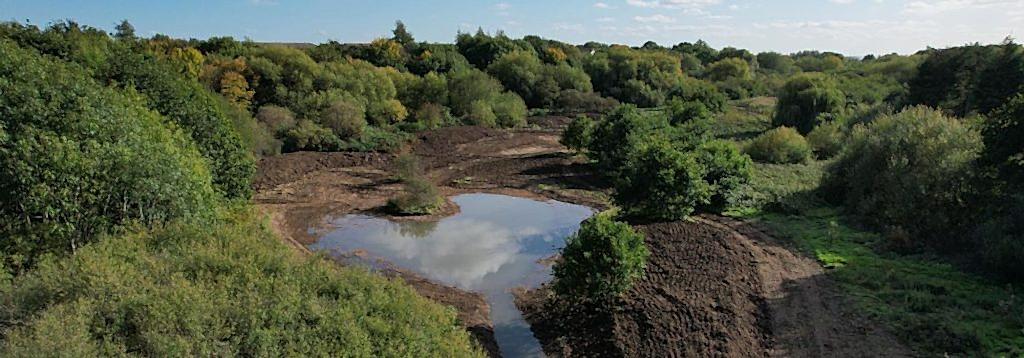 Rewilding the Rom – PROJECT COMPLETED