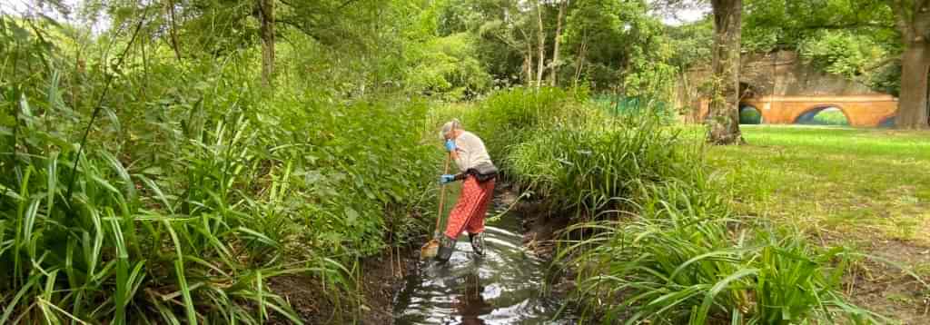Chinbrook Meadows Wetlands – PROJECT COMPLETED