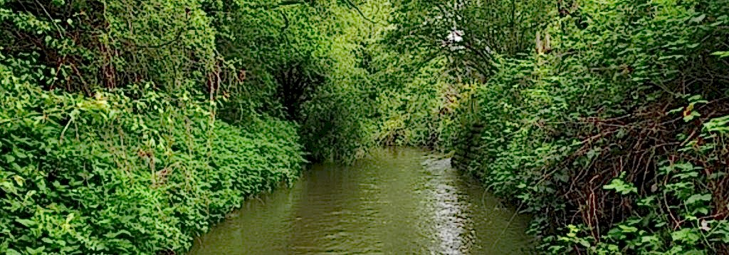 Community Action for the Cut – PROJECT COMPLETED