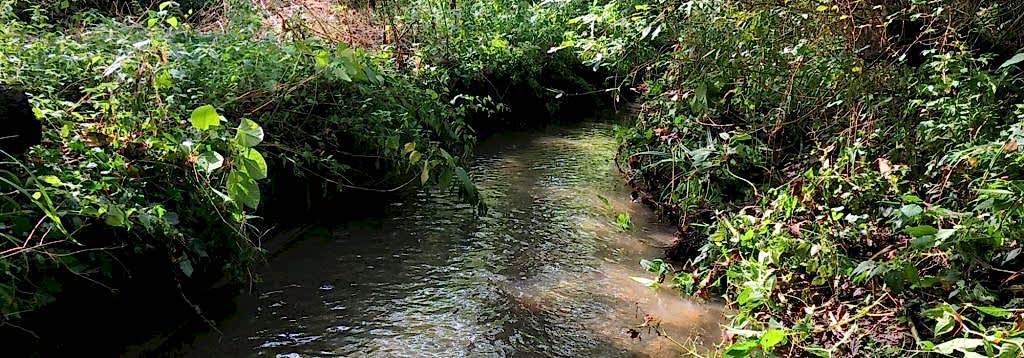 Dollis Brook toe board removal – A river restoration project