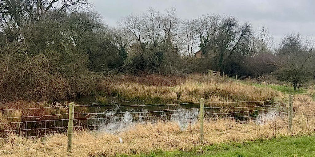 Backwater restoration in the Maidenhead to Teddington catchment