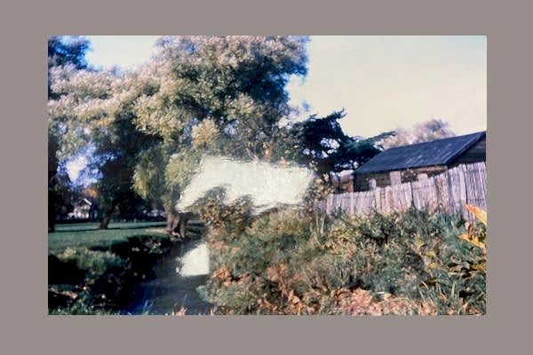 Cator Park in the 1960s