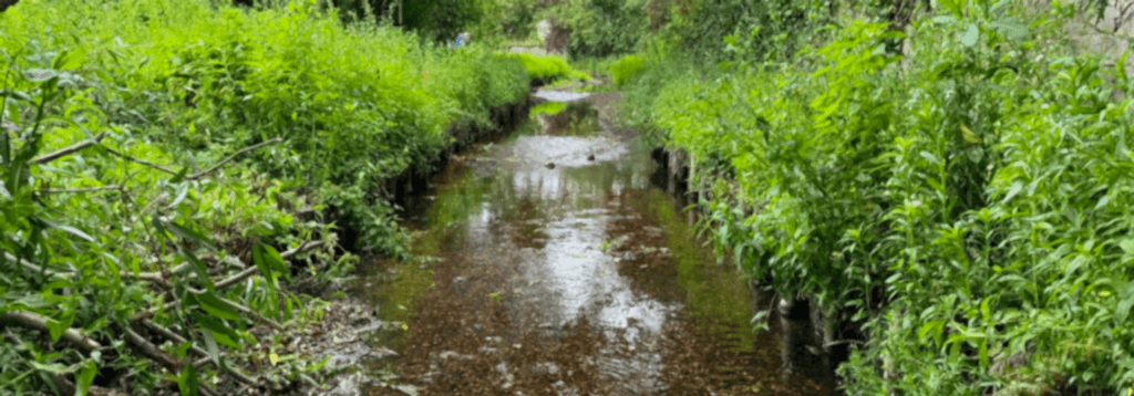 The River Ravensbourne and Glassmill Pond – PROJECT COMPLETED