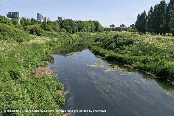 ©The Roding Rises, a National Lottery Heritage Fund project led by Thames21