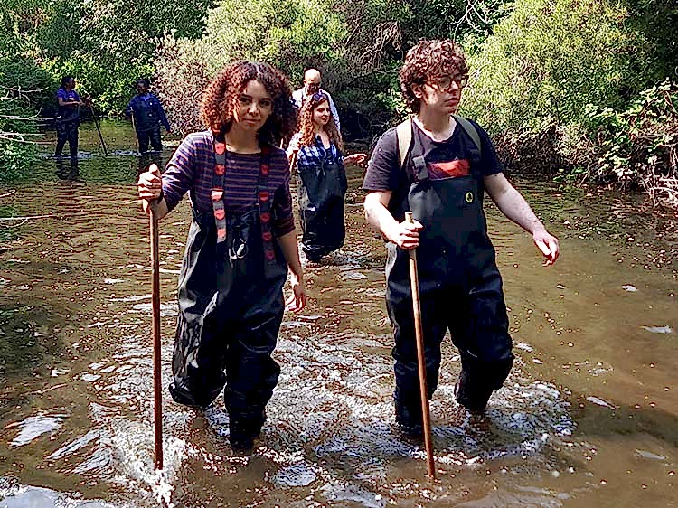 a group volunteers in waders walking through a shallow river on a sunny day using sticks to help them balance